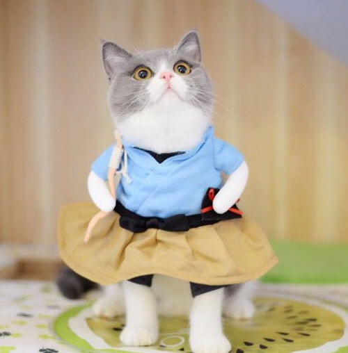 Funny Cat Costume – Hilarious Dress-Up Outfit for Parties & Photos - Glow My Cat
