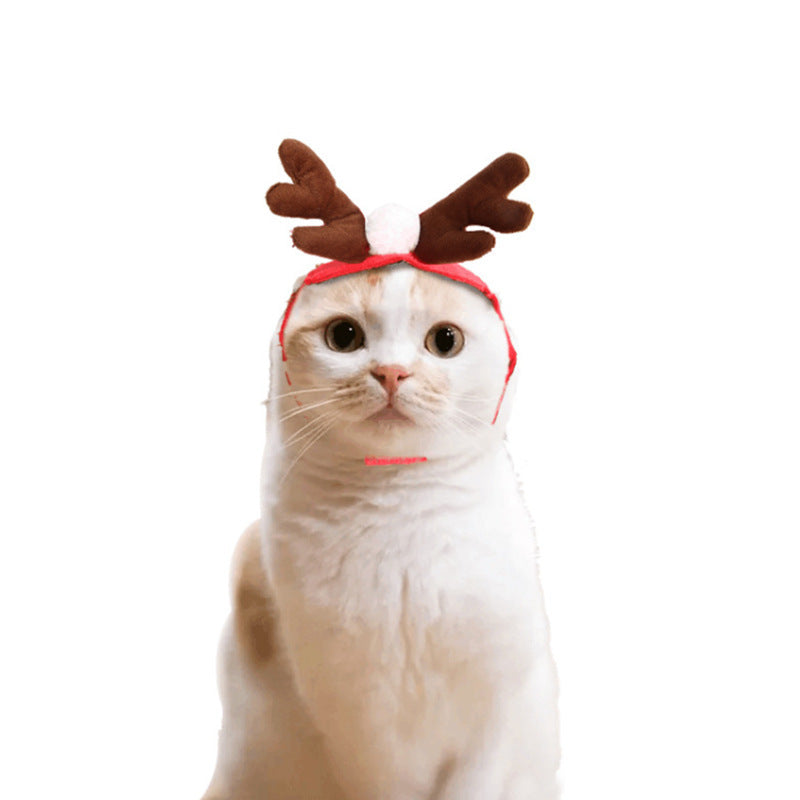 Christmas Cat Hats & Crowns – Adorable Holiday Headwear - Glow My Cat