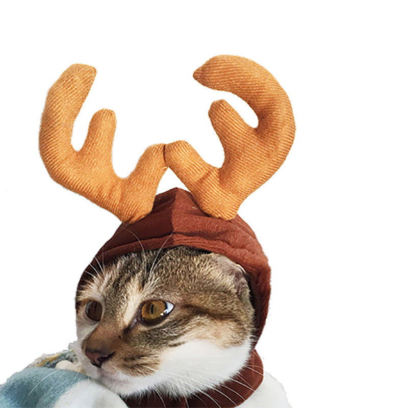 Christmas Cat Hats & Crowns – Adorable Holiday Headwear - Glow My Cat