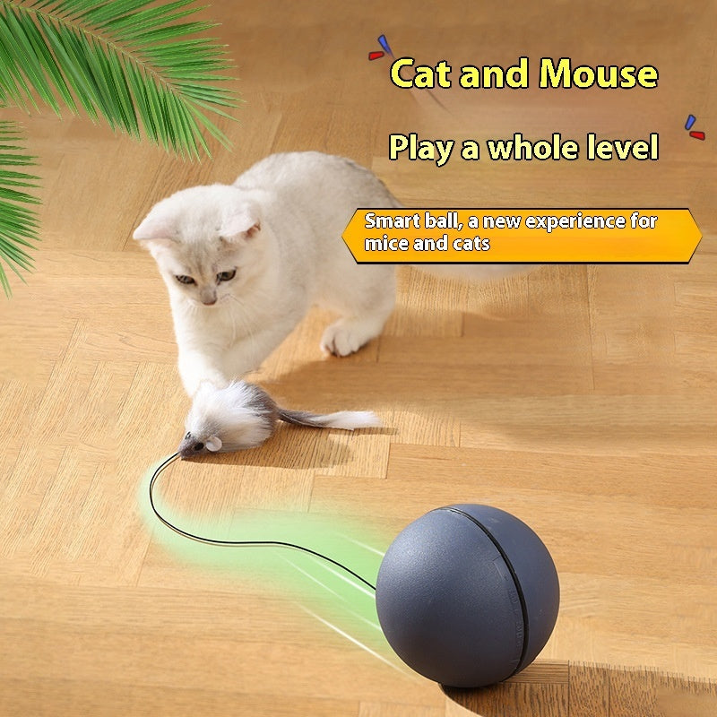 Smart Rolling Mouse Teaser Ball for Cats & Dogs - Glow My Cat