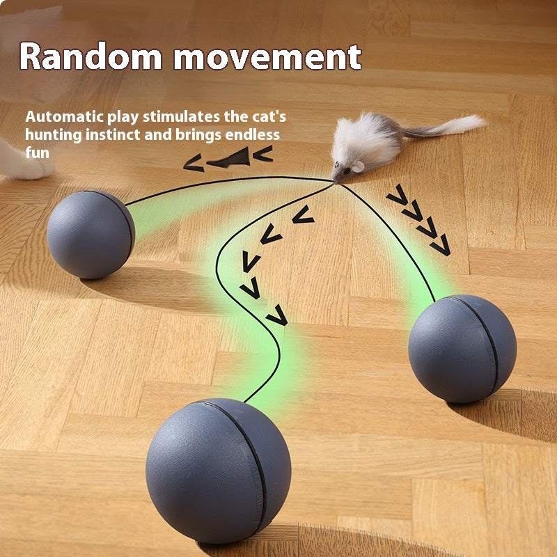 Smart Rolling Mouse Teaser Ball for Cats & Dogs - Glow My Cat