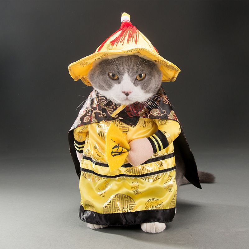 Hilarious Cat Costumes for Every Profession & Personality - Glow My Cat