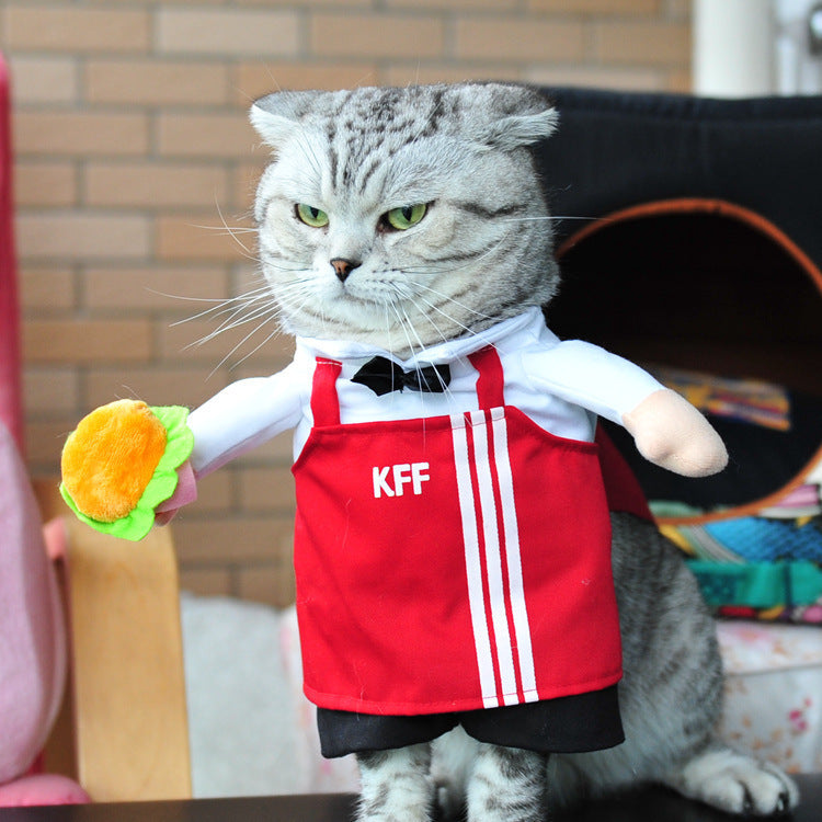 Hilarious Cat Costumes for Every Profession & Personality - Glow My Cat