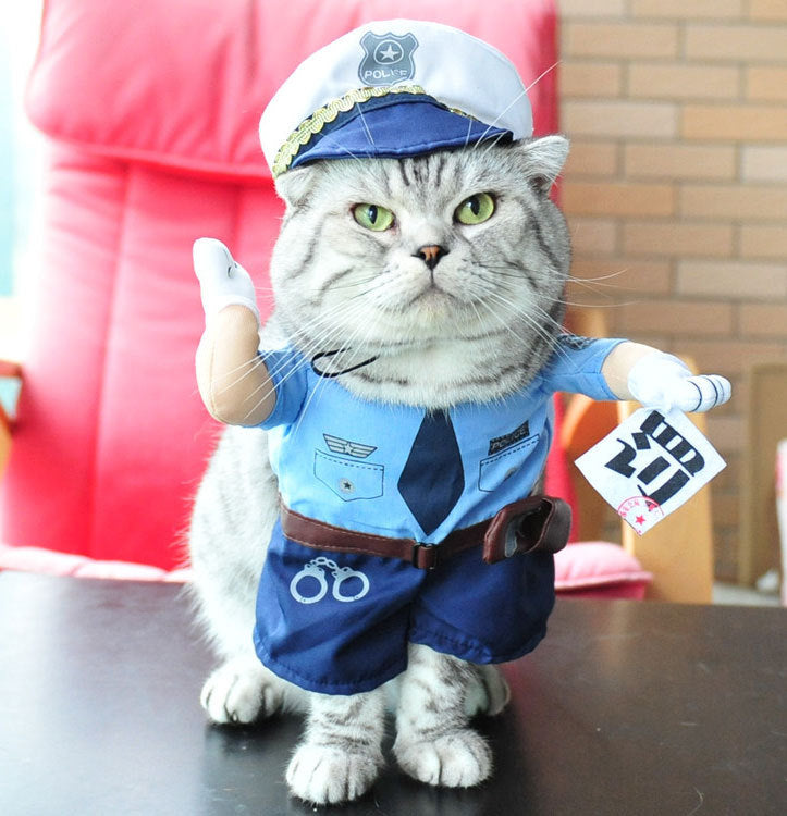 Hilarious Cat Costumes for Every Profession & Personality - Glow My Cat