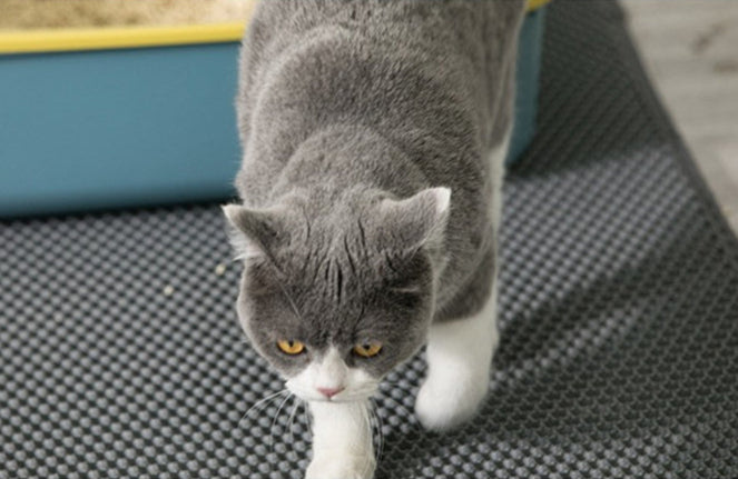 Waterproof Cat Litter Mat – No More Mess, Just Clean! - Glow My Cat
