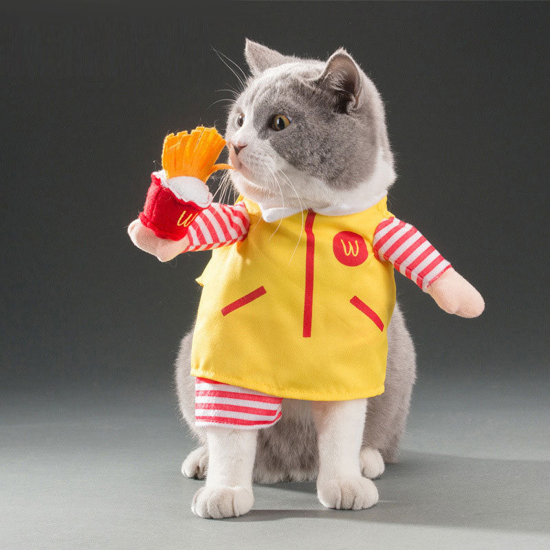 Hilarious Cat Costumes for Every Profession & Personality - Glow My Cat