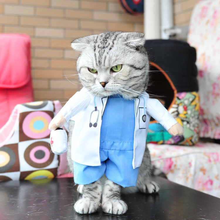 Hilarious Cat Costumes for Every Profession & Personality - Glow My Cat
