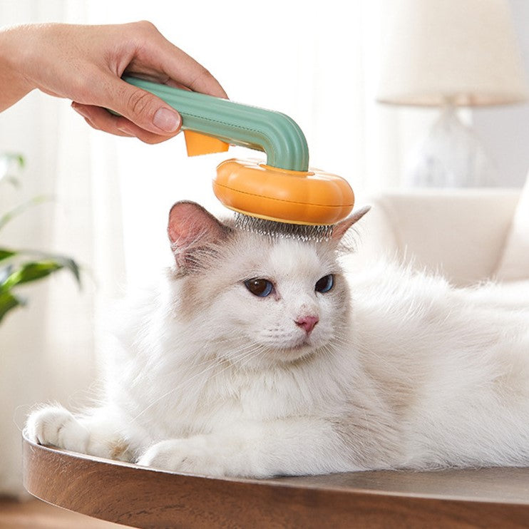 Happy tabby cat playing with grooming brush from Glow My Cat – UK and US cat grooming products.