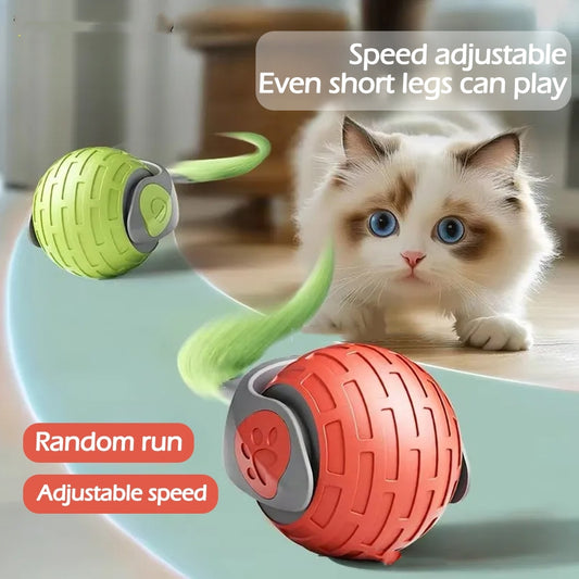 Smart Rolling Cat Toy Ball – USB Rechargeable & Fun - Glow My Cat