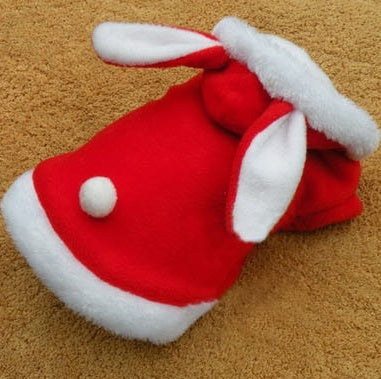 Cute Bunny Cat Hoodie – Warm, Funny & Adorable - Glow My Cat