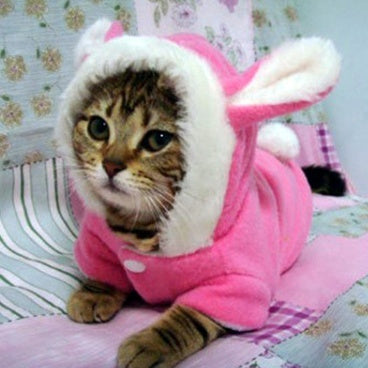 Cute Bunny Cat Hoodie – Warm, Funny & Adorable - Glow My Cat