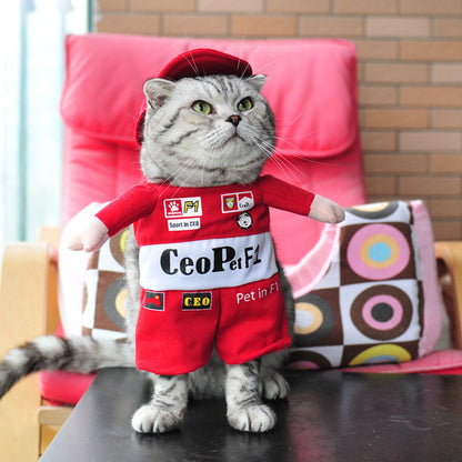 Hilarious Cat Costumes for Every Profession & Personality - Glow My Cat