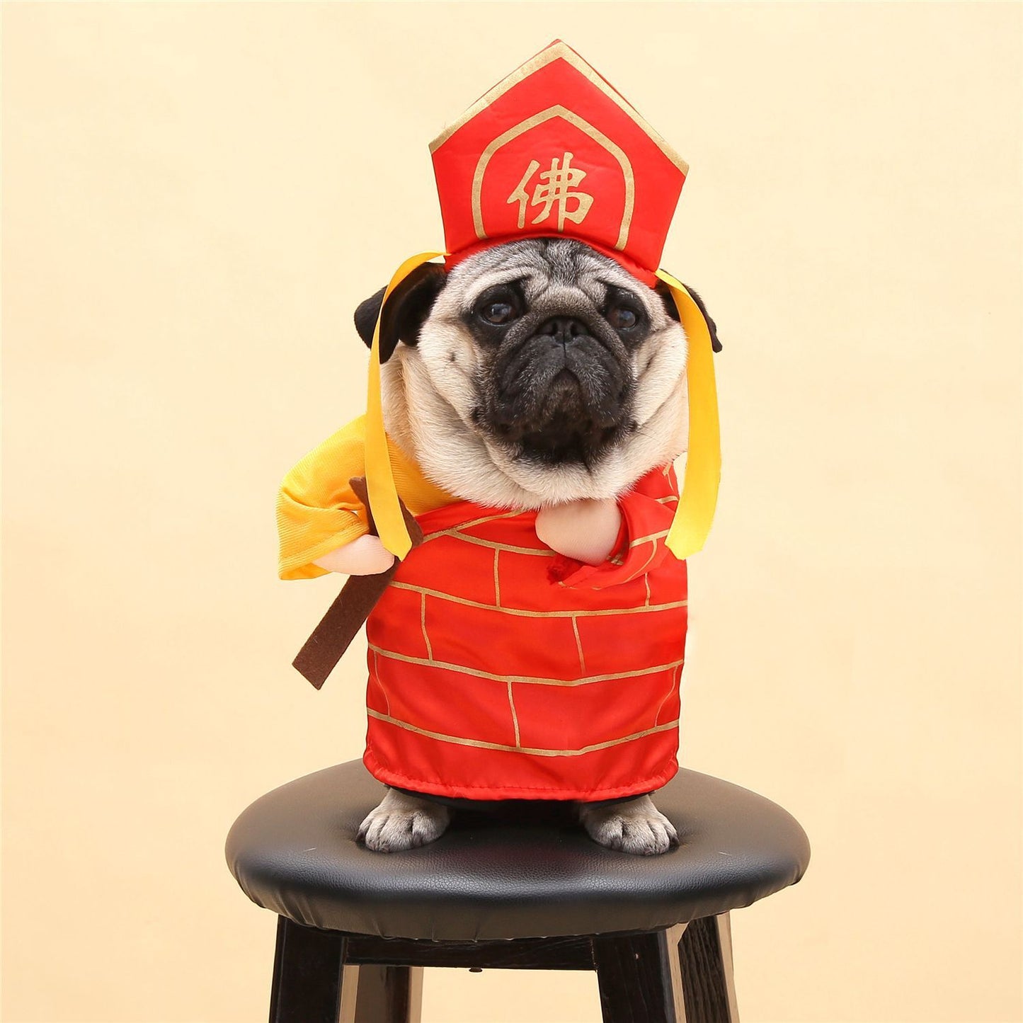 Hilarious Cat Costumes for Every Profession & Personality - Glow My Cat