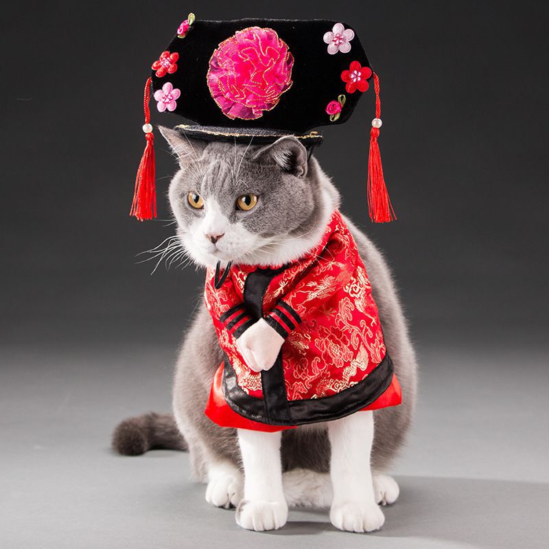 Hilarious Cat Costumes for Every Profession & Personality - Glow My Cat