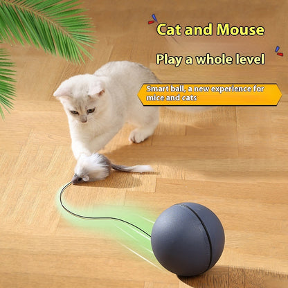Smart Rolling Mouse Teaser Ball for Cats & Dogs - Glow My Cat