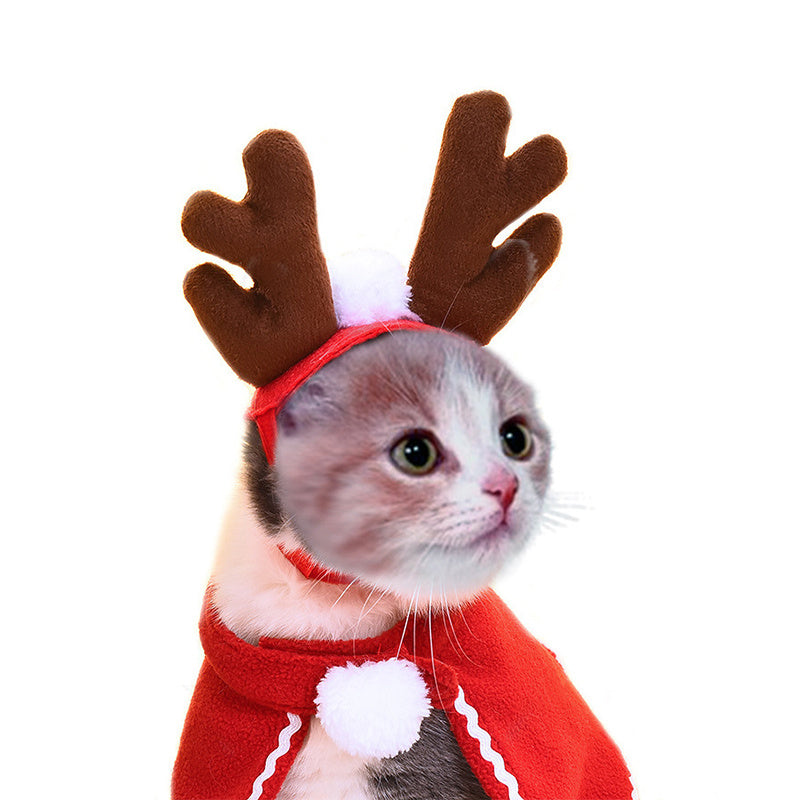 Christmas Cat Hats & Crowns – Adorable Holiday Headwear - Glow My Cat
