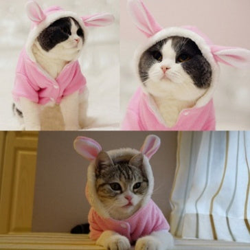 Cute Bunny Cat Hoodie – Warm, Funny & Adorable - Glow My Cat